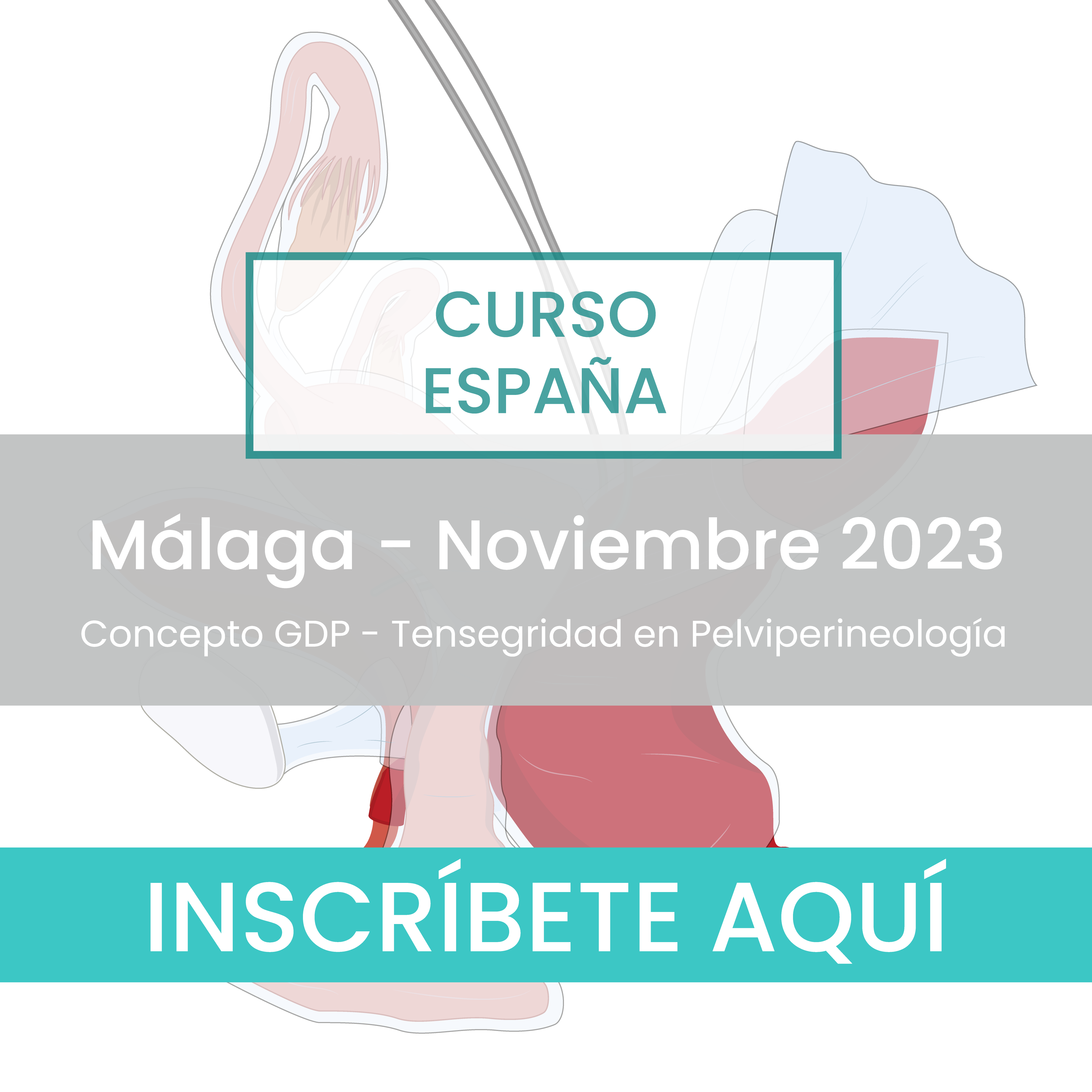 Concepto GDP Málaga
