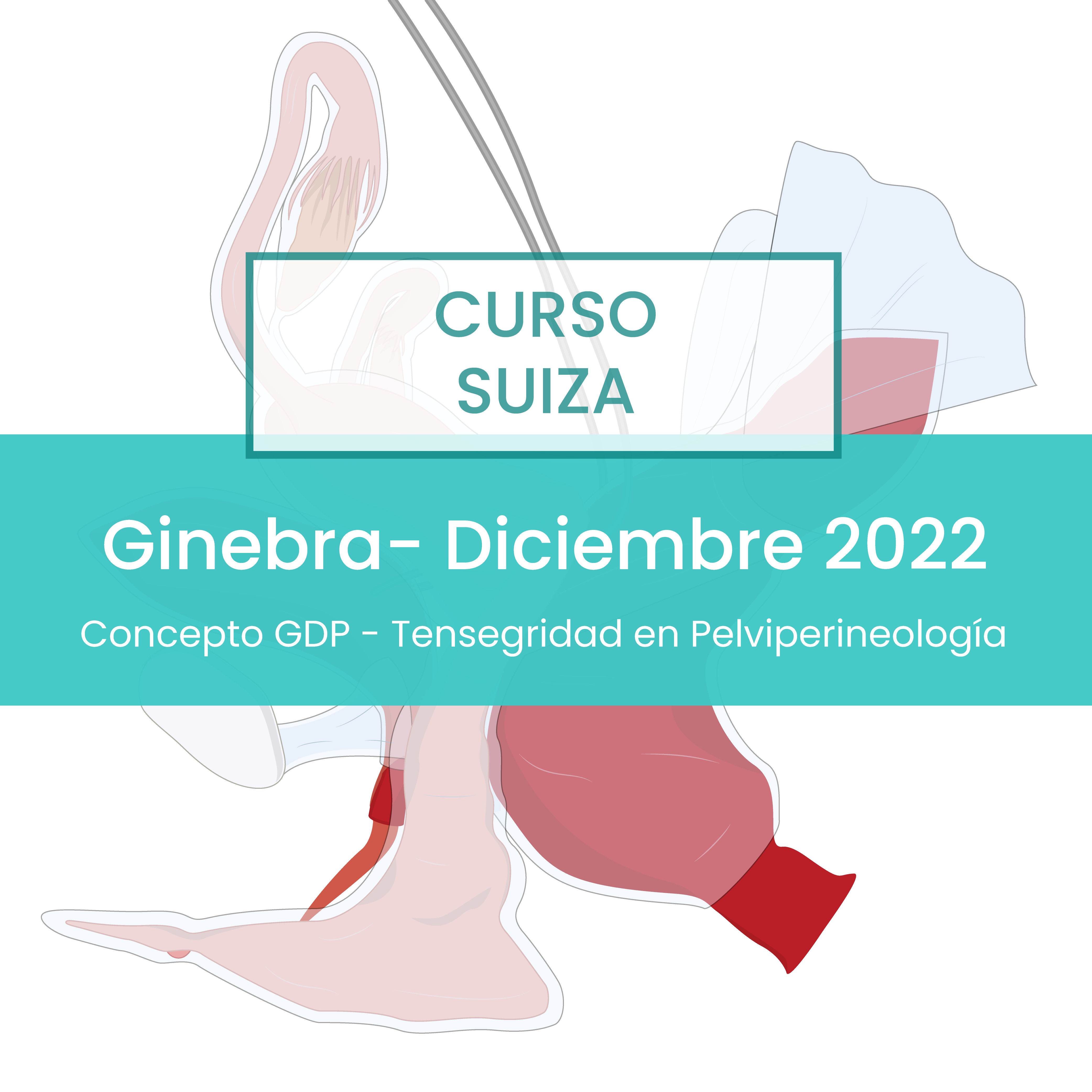 Ginebra - Diciembre 2022