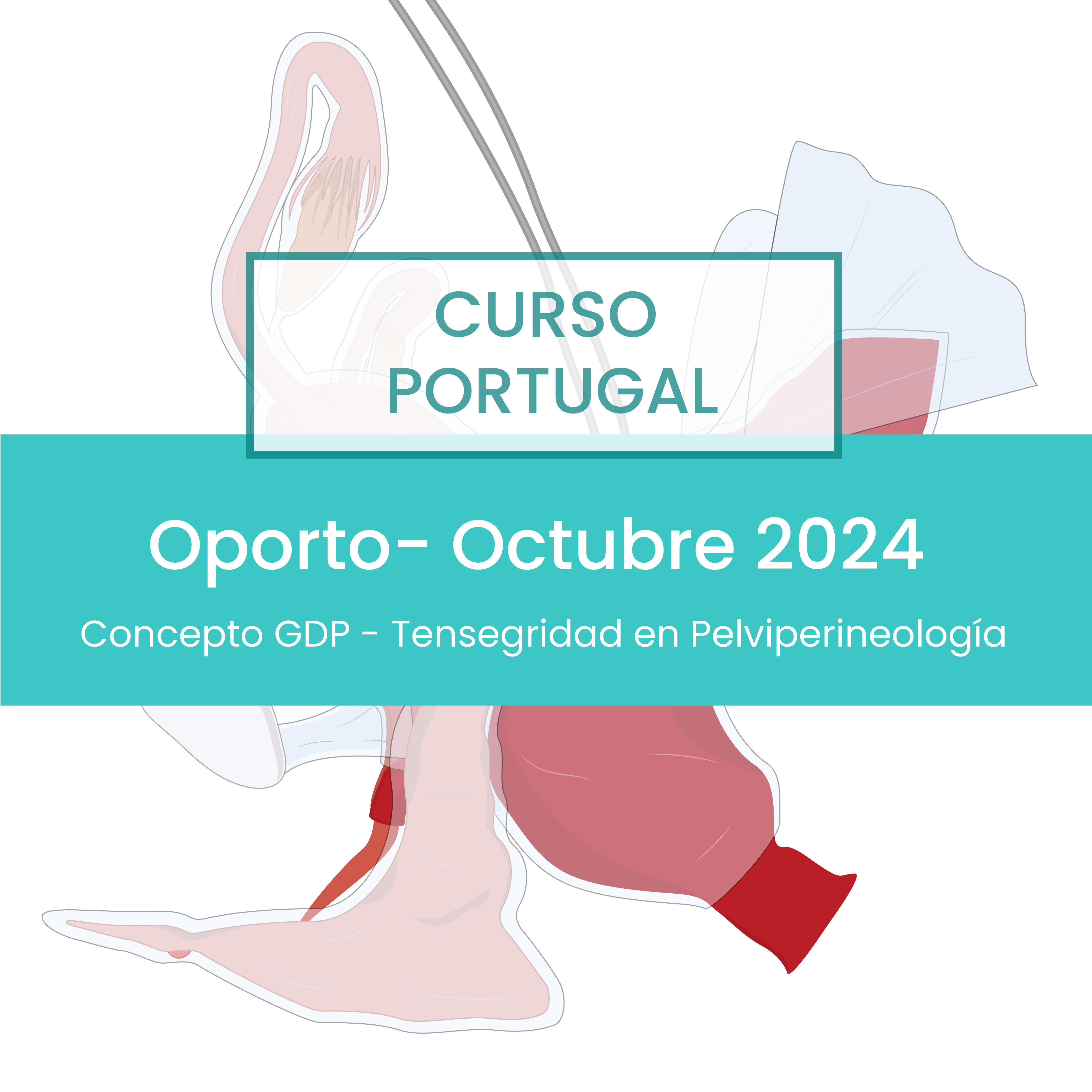 Curso Oporto: Tensegridad en Pelviperineología - Octubre 2024