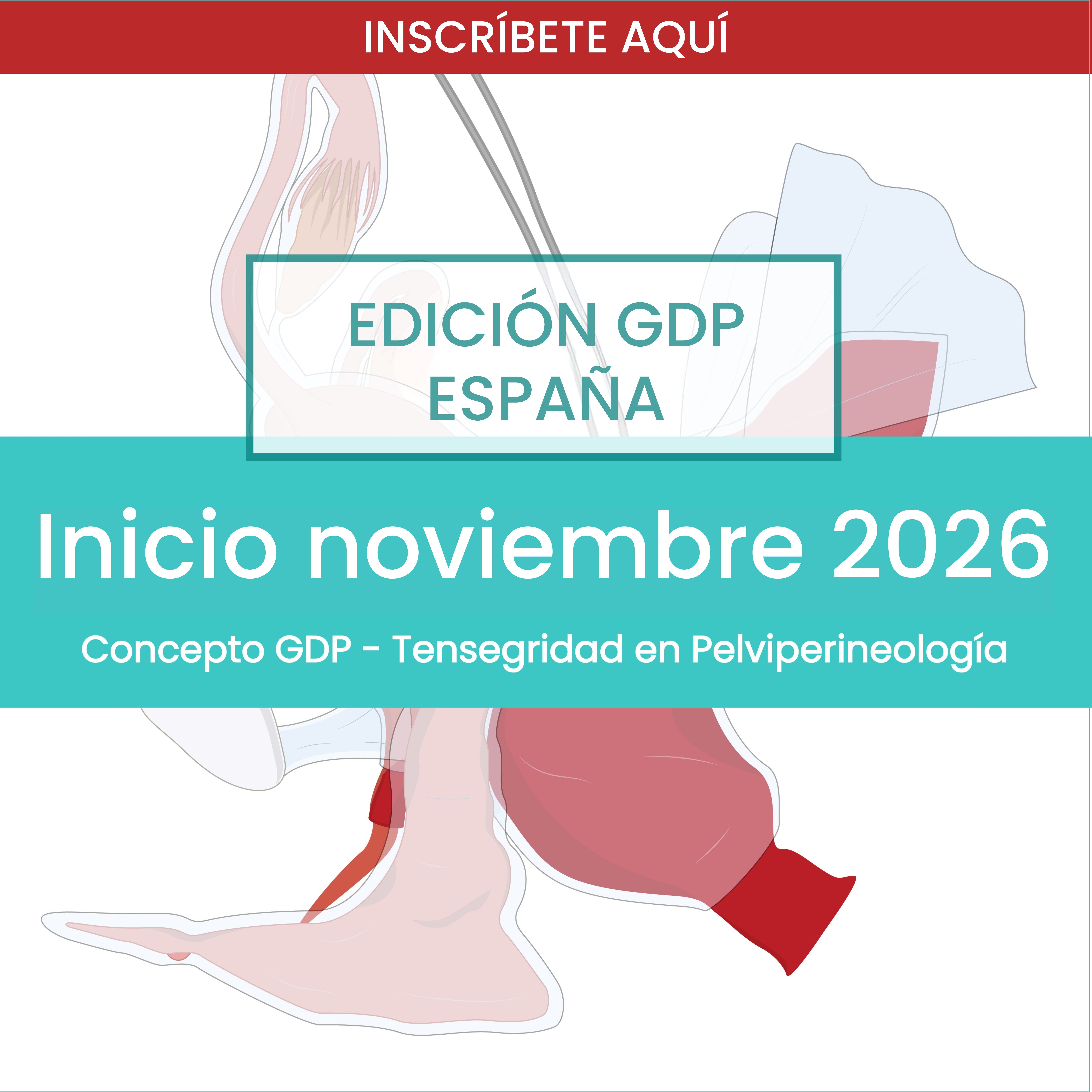 Edición GDP Málaga Noviembre 2026