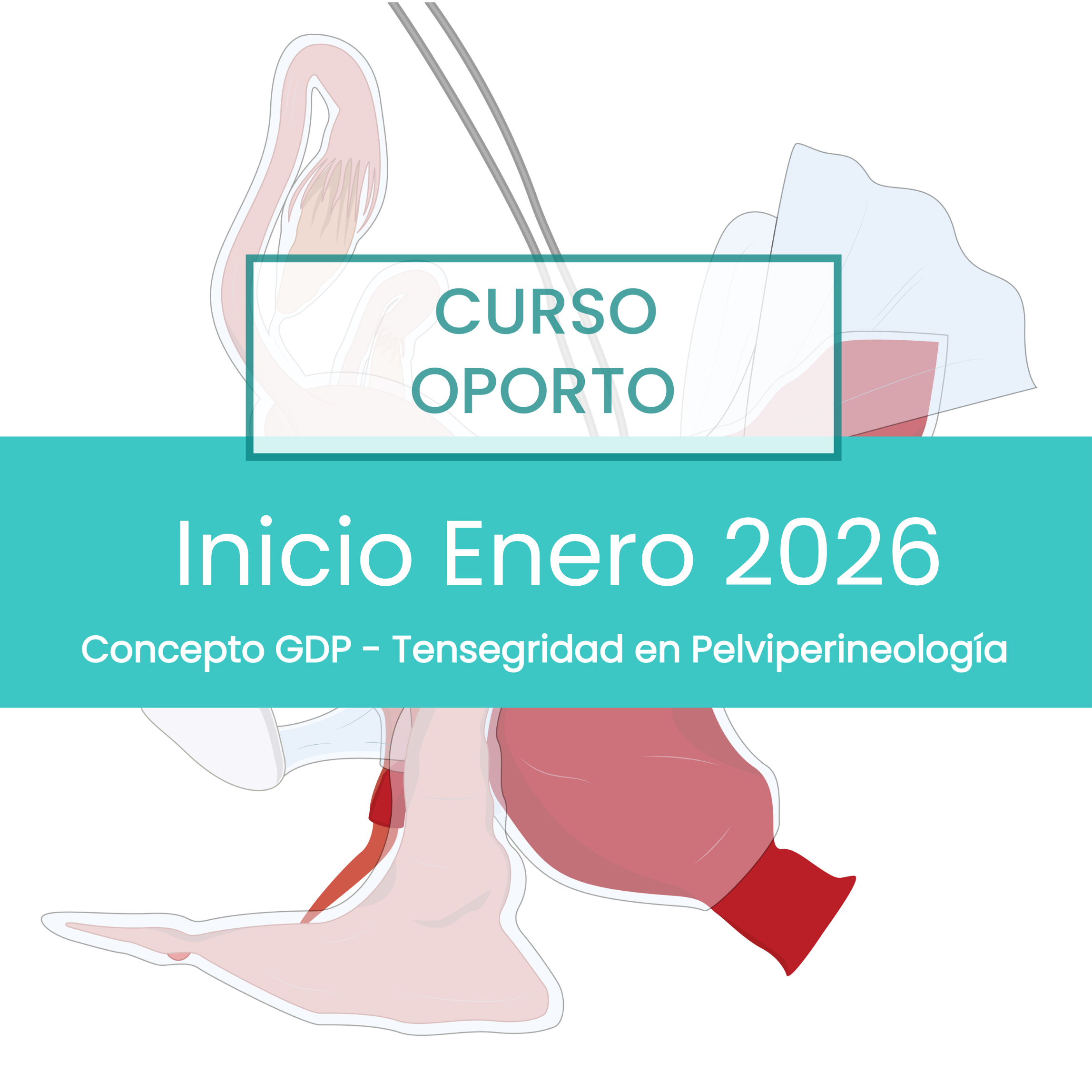 Curso Oporto Tensegridad en Pelviperineología - Enero 2026